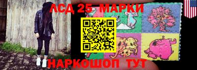 дмт Тара