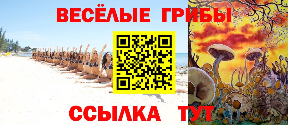 Ржев  Галлюциногенные грибы Psilocybine cubensis  Вход с VPN  Псилоцибиновые грибы мицелий 