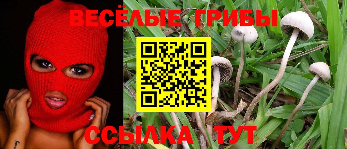 Псилоцибиновые грибы MAGIC MUSHROOMS Ржев